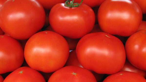 Български домати - над 3 лв./кг на едро