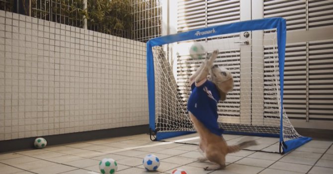 Куче вратар подлуди футболните фенове в социалните мрежи (видео)