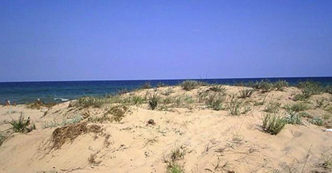 Община Созопол възстанови дюните на къмпинг &quot;Златна рибка&quot;