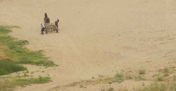 Роми крадат пясък от плажа в Синеморец (видео)