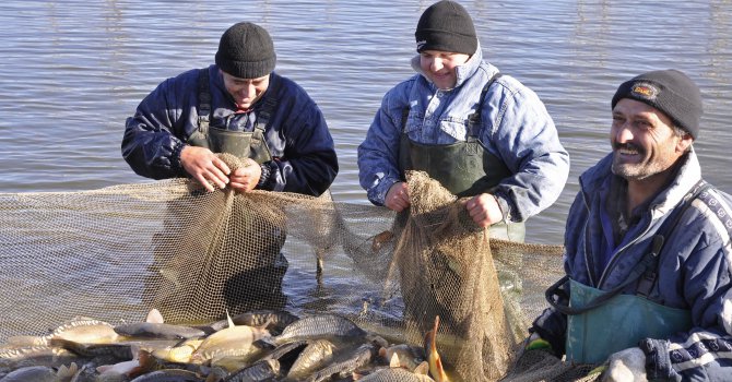 200 кг риба унищожиха в Бургас