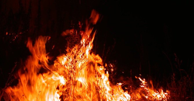400 дка жито изгоряха до Плевен
