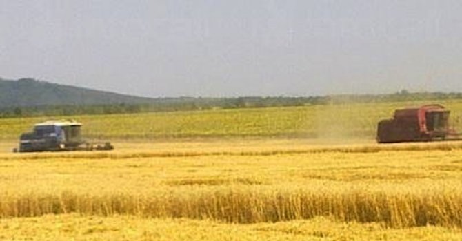 МВР - Плевен създаде организация за опазване на земеделската продукция