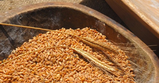 Пшеницата за хляб с начална цена от 280 лв. за тон