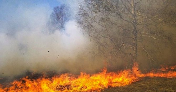 30 дка сухи треви горяха в Дупнишко