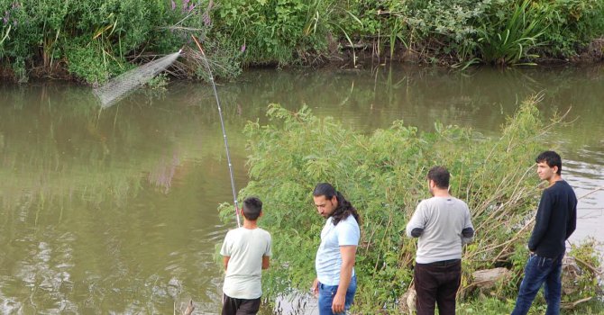 Бежанци бракониерстват риба в реките край Харманли (снимки)