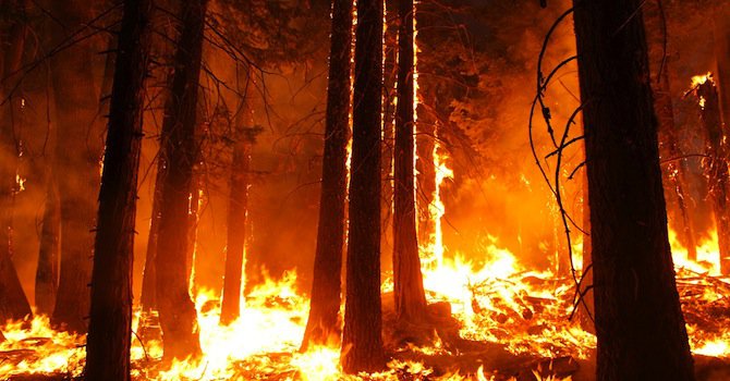 Евакуираха стотици заради пожари в Калифорния