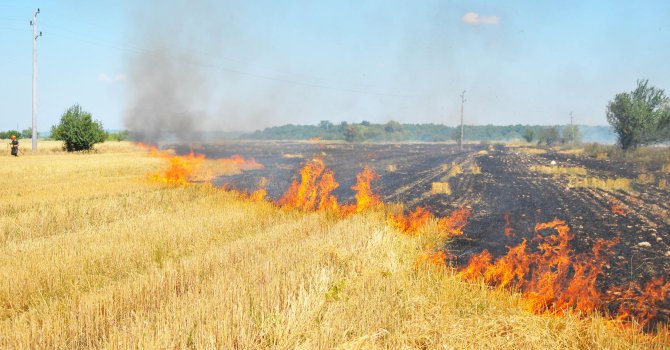 15 дка пшеница изгоряха между селата Джерман и Усойка