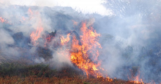 Голям пожар бушува в Хасковско