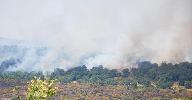 6 000 дка сухи треви и храсти изгоряха при пожара край Лесово