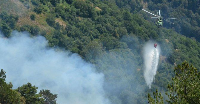Зам.-министър Георги Костов ще представи мерки по превенция на горски пожари