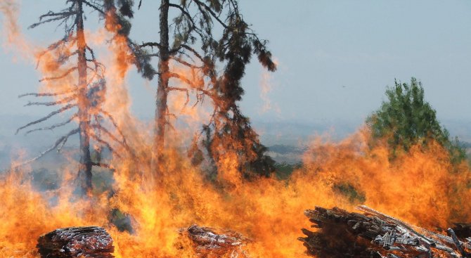 23 лъжливи сигнала за пожари през юли са подадени в Старозагорска област