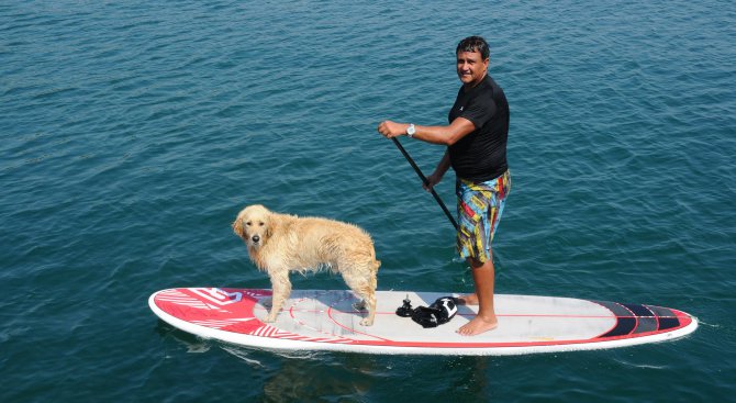 Куче-сърфист радва плажуващите в Бургас (снимки)