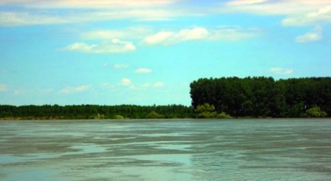Нивото на река Дунав се понижи