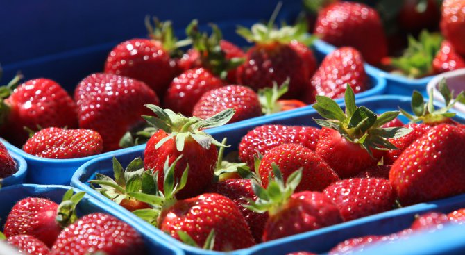 Родопско село отбелязва празника на ягодата