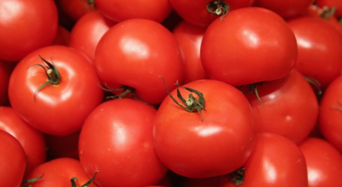 Баба отгледа домат от един килограм