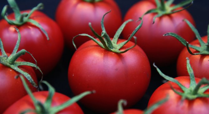 Градинар отглежда над 200 сорта домати