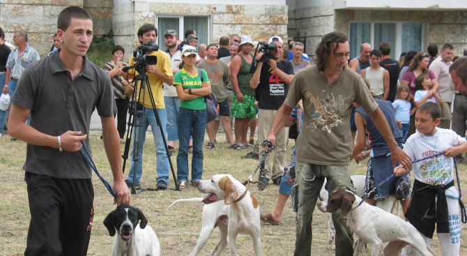 Ловец: Организирана мафия краде кучетата ни и ги продава в Гърция за по 7000 лева