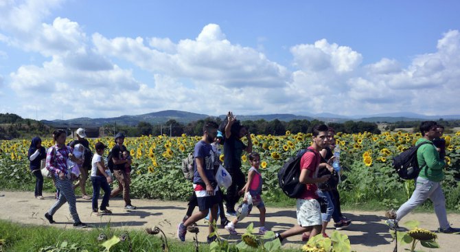 По 3000 бежанци всекидневно ще влизат в Македония