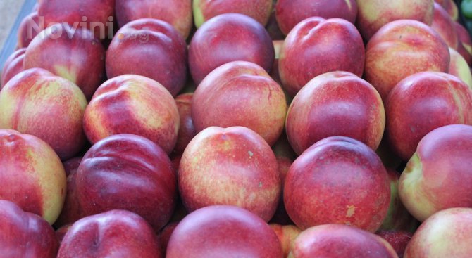Продуктите за Училищен плод ще се осигуряват от местните пазари