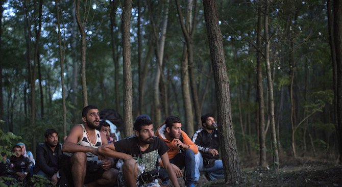 Австралия ще приеме 12 000 сирийски бежанци