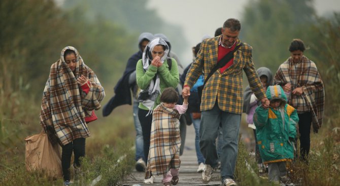 Над 700 имигранти заловиха в близост до границата ни с Турция