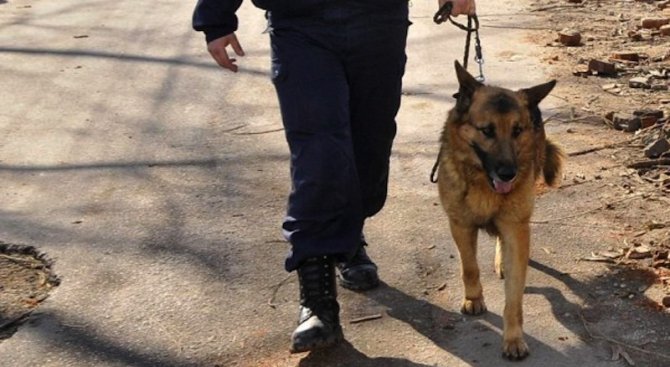 Граничарско куче надуши нелегални в гората край Крушевец