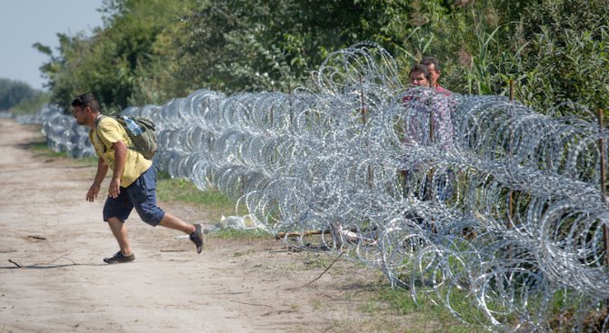 Мигранти прерязаха оградата от бодлива тел на границата между Унгария и Сърбия