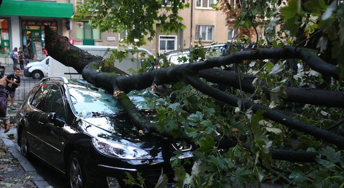 Над 2 милиона лева щети от бурята в Плевенско (снимки)
