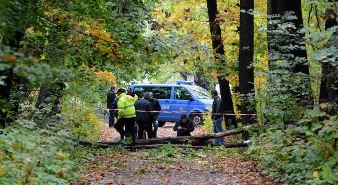 Паднало дърво уби мъж в Борисовата градина (видео+снимки)