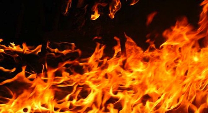 74-годишна жена загина при пожар в Бряговица