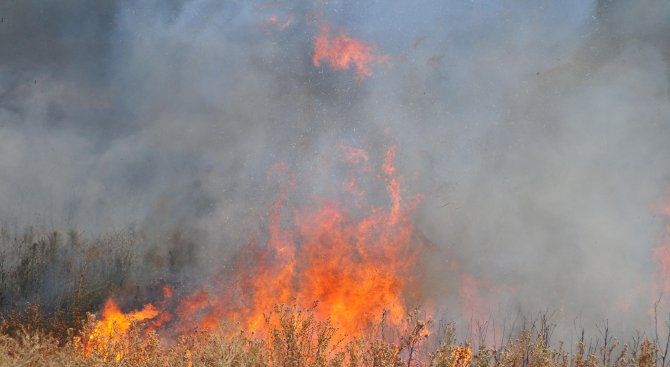 30 души гасят пожар на територията на Държавно горско стопанство – Габрово
