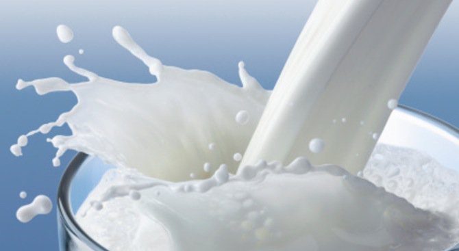 Започна приемът на заявления по извънредното подпомагане за млечния сектор