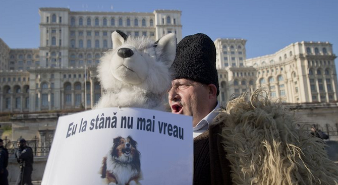 Овчари щурмуваха парламента в Румъния