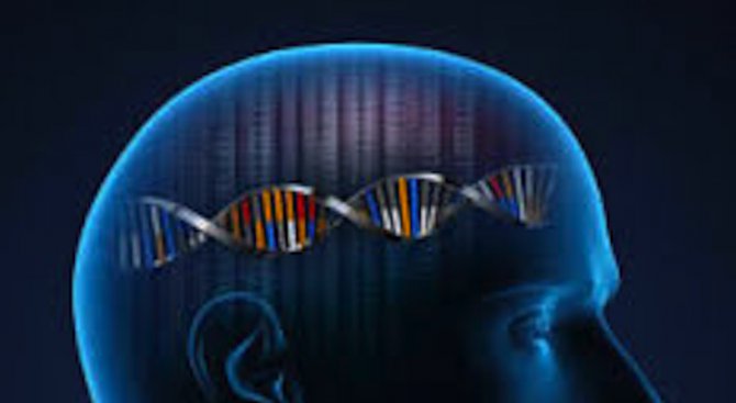 Учени откриха ген на интелекта
