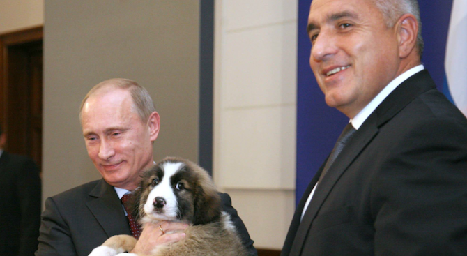Кучето Бъфи грейна на календара на Путин за 2016 г. (видео)