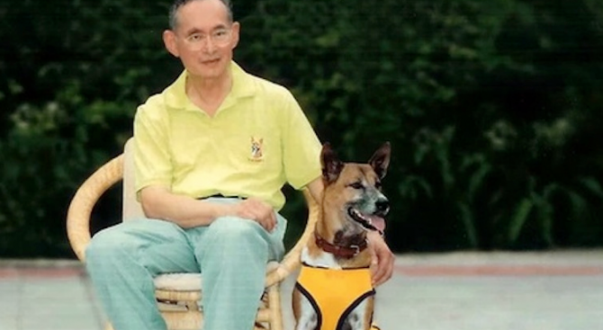 Траур в Тайланд – почина кучето на краля
