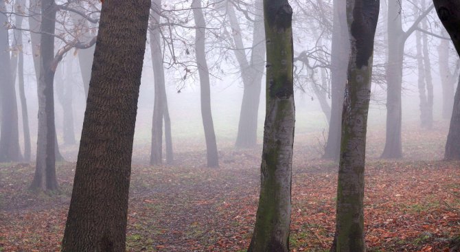 Гъста мъгла падна над Кюстендил