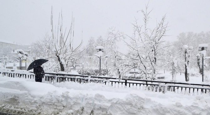 Предпазни огради по пътищата в Добричко спират навяванията от сняг