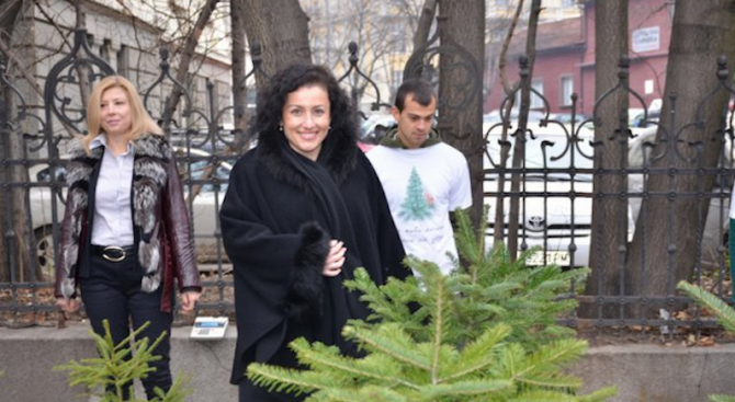Десислава Танева: Уволненията в горските стопанства са заради нарушения