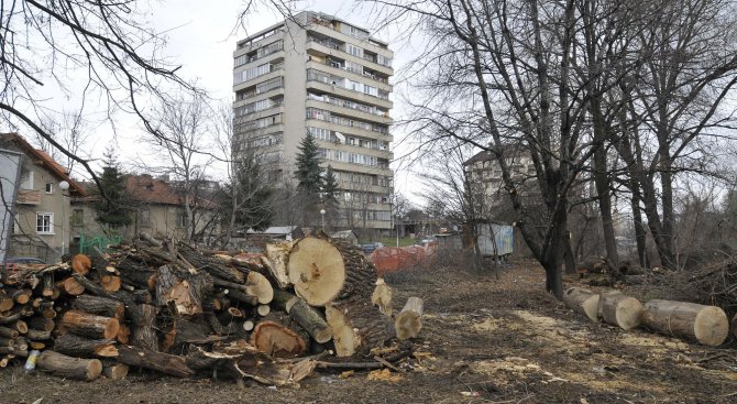 Дървесината в Габрово ще се продава по електронен път