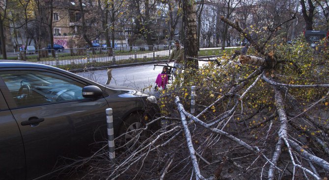 Три екипа отговарят на сигнали заради обявения жълт код за силен вятър в София