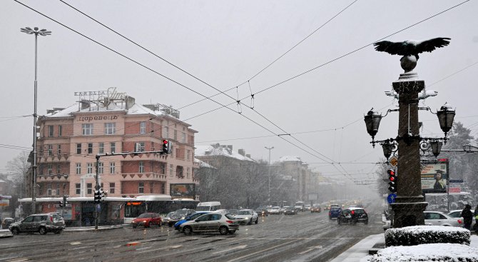 В София вали обилно, но снегът не се задържа (снимка)