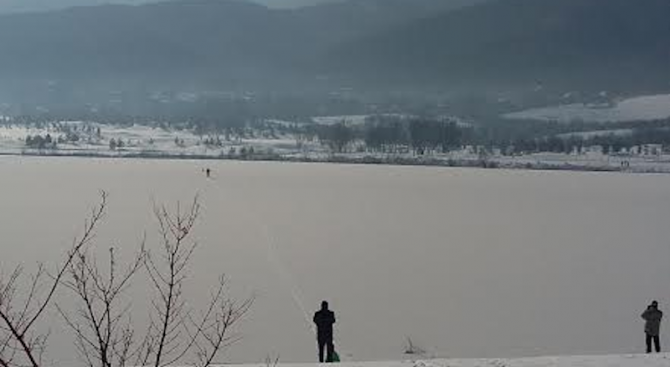 Мъж ходи по тънък лед в езеро, за да спаси лебед