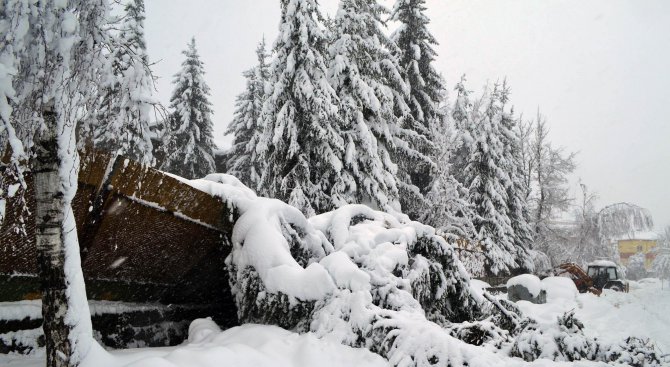 Спасиха туристи от снежна блокада в Райковци