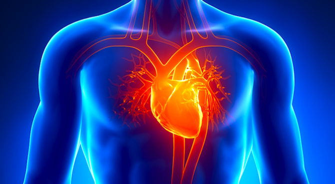 Изкуствени сърца изместват трансплантите