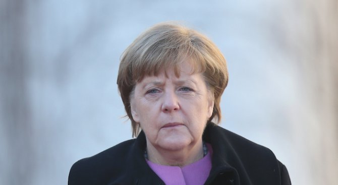 Мъртво прасе с надпис „Меркел“ откриха на строежа на джамия