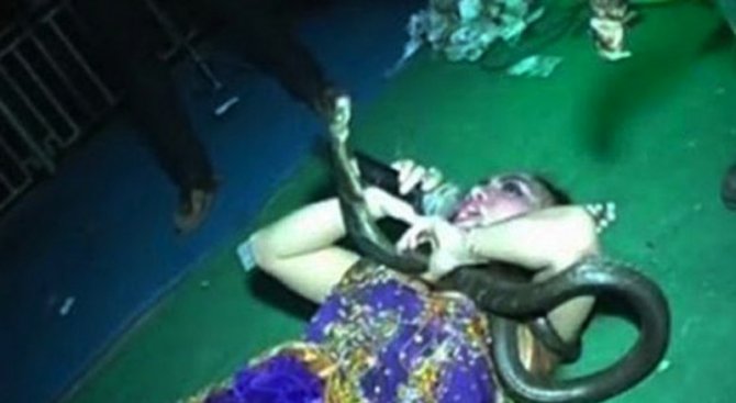 Певица умря на сцената след ухапване от кобра