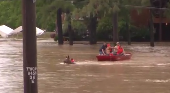 Евакуират Хюстън заради проливните дъждове (видео)