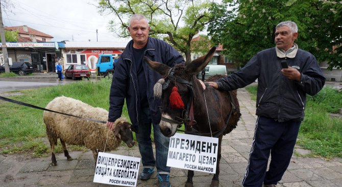 Росен Марков представи кандидат-президентска двойка магаре и овца (снимки)